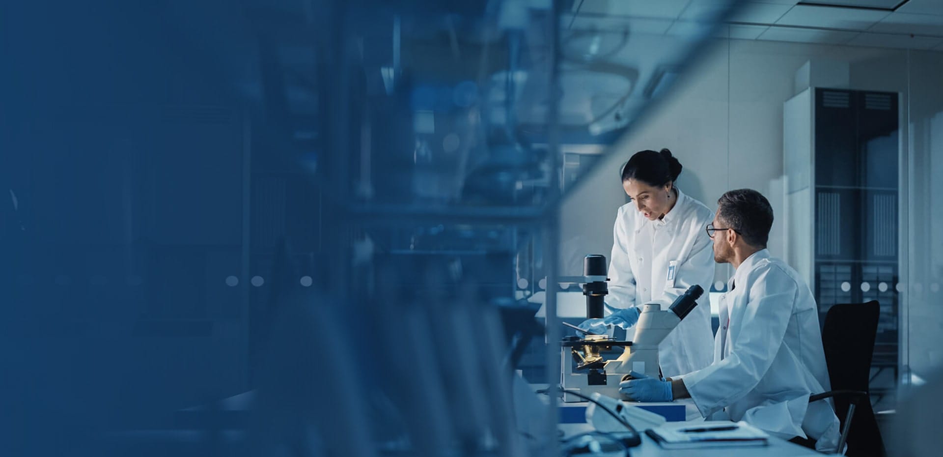 pcd pharma franchise